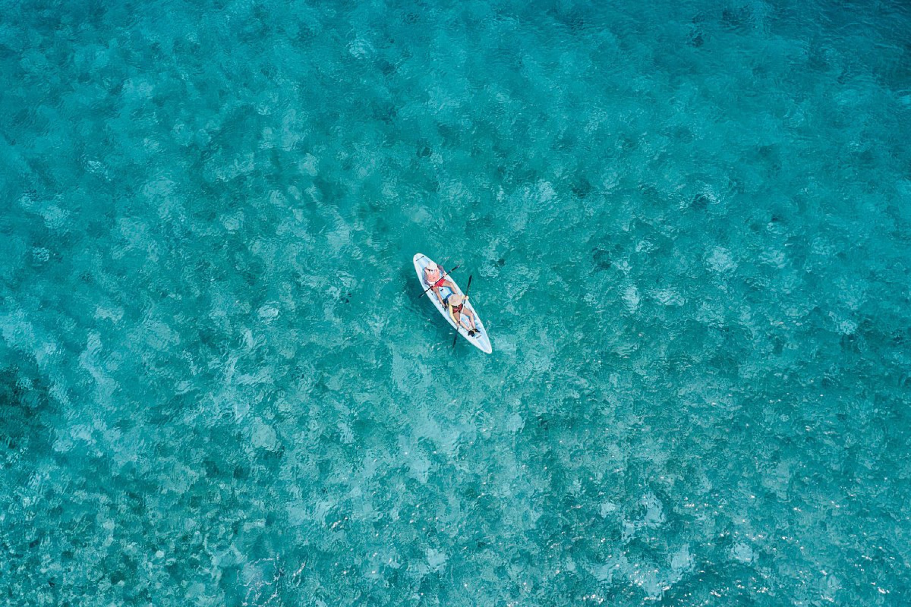 The Explorean Cozumel